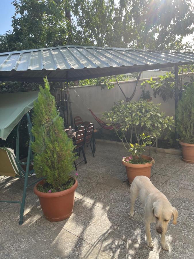 Cozy Space In Tiflis Exterior foto